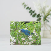 Indigo Bunting en Blossom - Bird Briefkaart (Staand voorkant)