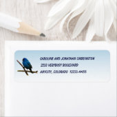 Indigo Bunting Etiket (Insitu)