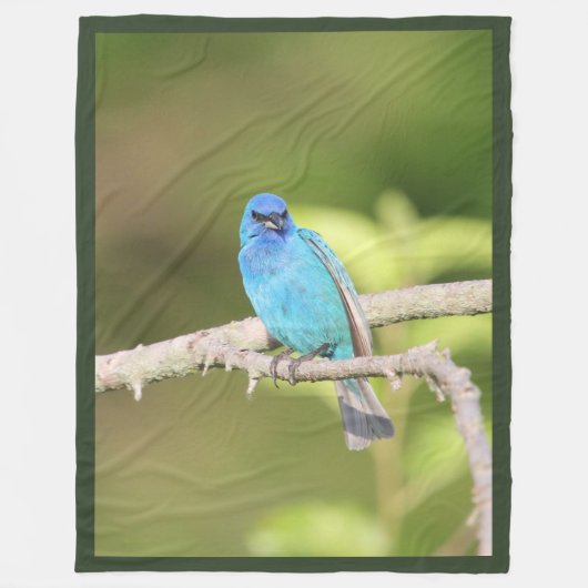 Indigo Bunting Fleece Deken (Voorkant)