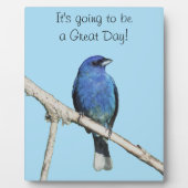 Indigo Bunting Fotoplaat (Voorkant)