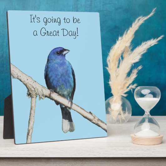 Indigo Bunting Fotoplaat (Zijkant)