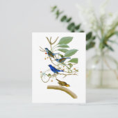 Indigo Bunting John James Audubon Birds of America Briefkaart (Staand voorkant)