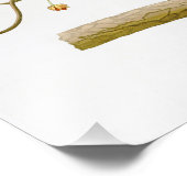 Indigo Bunting John James Audubon Birds of America Foto Afdruk (Hoek)