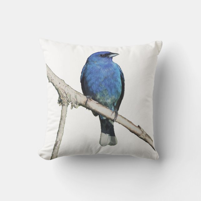 indigo bunting kussen (Voorkant)