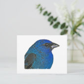 Indigo Bunting Logo Briefkaart (Staand voorkant)