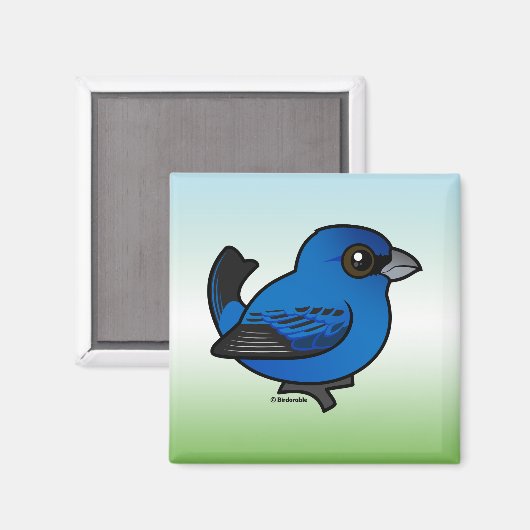 Indigo Bunting Magneet (Voorkant / Achterkant)