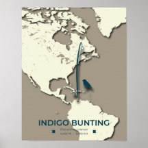 Indigo Bunting Migration Map – Minimalistische Vin
