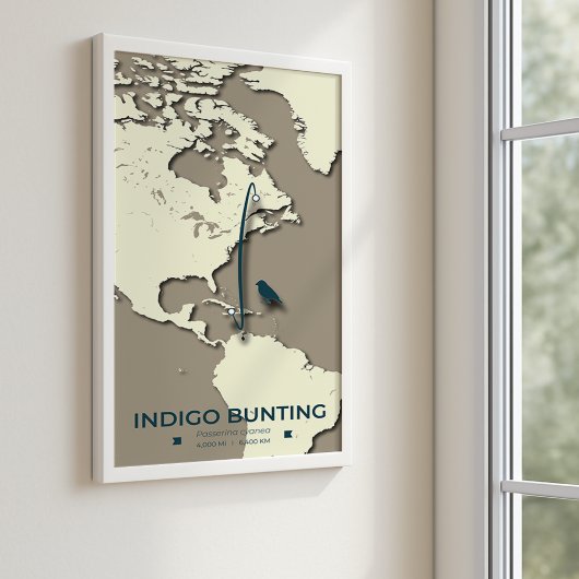 Indigo Bunting Migration Map – Minimalistische Vin Poster