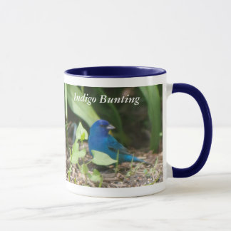 Indigo Bunting Mok