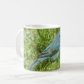 Indigo Bunting Mok (Voorkant links)