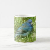 Indigo Bunting Mok (Center)