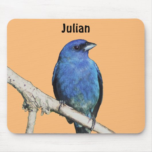 Indigo Bunting Muismat (Voorkant)