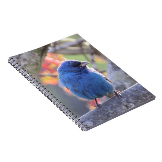 Indigo Bunting Notitieboek (Rechterzijde)