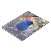 Indigo Bunting Notitieboek (Linkerzijde)