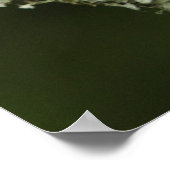 Indigo Bunting, Passerina cyanea, Kustal Poster (Hoek)