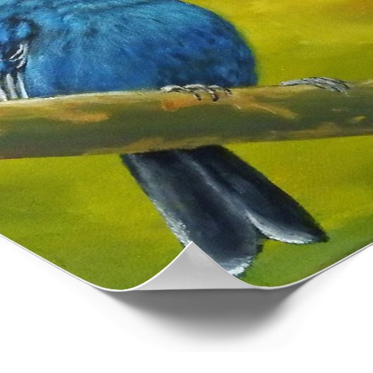 Indigo Bunting - Poster (Hoek)