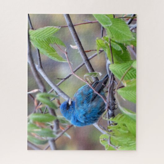 Indigo Bunting Puzzle Legpuzzel (Verticaal)