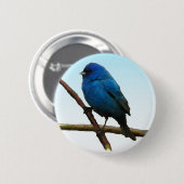 Indigo Bunting Ronde Button 5,7 Cm (Voorkant /achterkant)