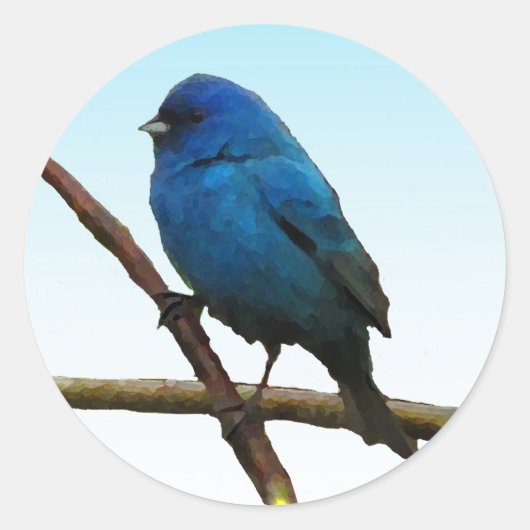 Indigo Bunting Ronde Sticker (Voorkant)