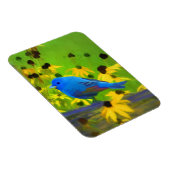 Indigo Bunting Schilderen - Oorspronkelijke vogelk Magneet (Rechterzijde)