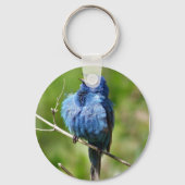 Indigo Bunting Sleutelhanger (Voorkant)
