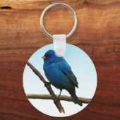 Indigo Bunting Sleutelhanger (Voorkant)