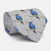 Indigo Bunting Stropdas (Opgerold)