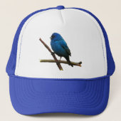 Indigo Bunting Trucker Pet (Voorkant)