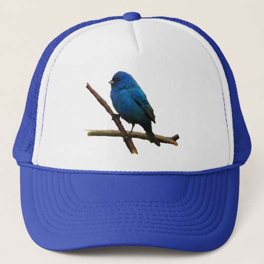 Indigo Bunting Trucker Pet (Voorkant)
