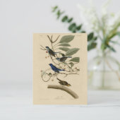 Indigo Bunting uit Audubon's Vogels van Amerika Briefkaart (Staand voorkant)