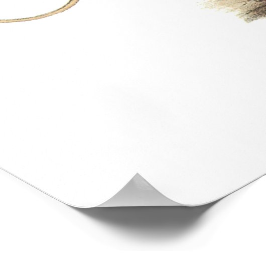 Indigo Bunting van Audubon Poster (Hoek)