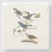 Indigo Bunting van Audubon Stenen Onderzetter (Voorkant)