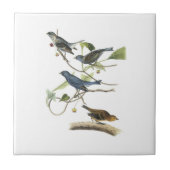 Indigo Bunting van Audubon Tegeltje (Voorkant)