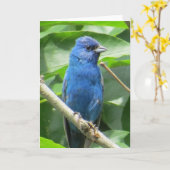 Indigo Bunting Wenskaart Kaart (Gele Bloem)