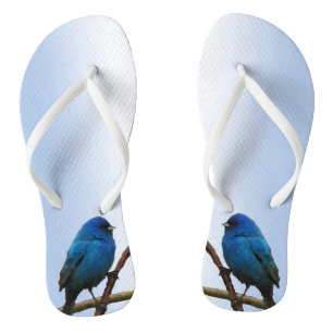 Indigo Buntings Teenslippers