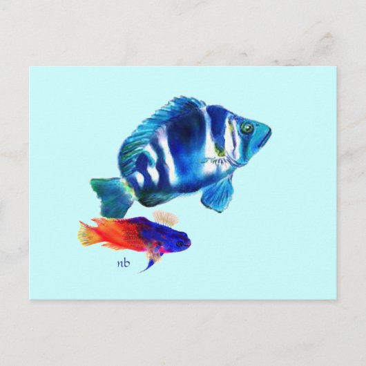 Indigo Fish, Fairy Basslet Briefkaart (Voorkant)