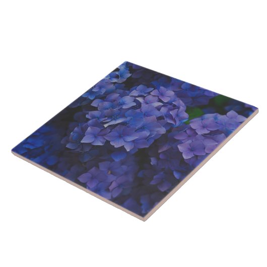 Indigo Hydrangea Dusk Decorative Ceramic Tile Tegeltje (Zijkant)