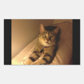 Indigo Model Pose Rechthoekige Sticker (Voorkant)