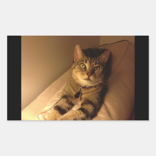 Indigo Model Pose Rechthoekige Sticker (Voorkant)