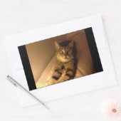 Indigo Model Pose Rechthoekige Sticker (Envelop)