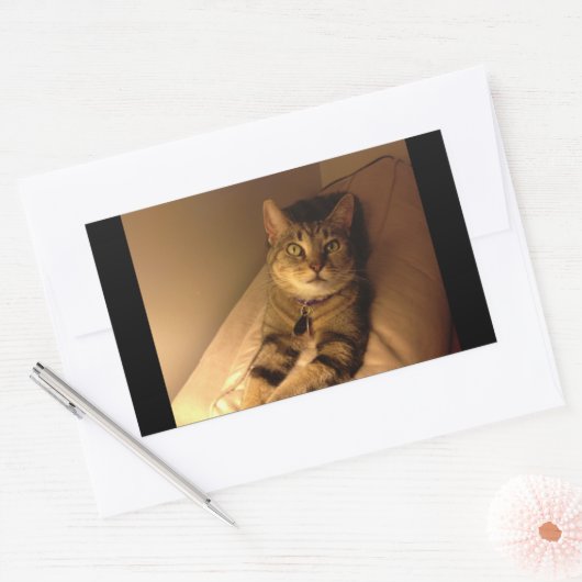 Indigo Model Pose Rechthoekige Sticker (Envelop)