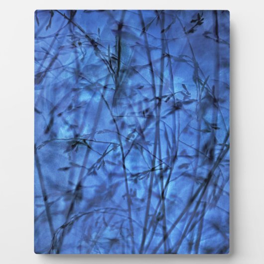 Indigo Plantscape Fotoplaat (Voorkant)