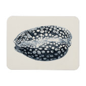 Indigo Seashell Magneet (Horizontaal)