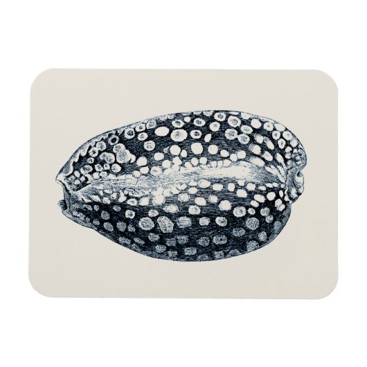Indigo Seashell Magneet (Horizontaal)