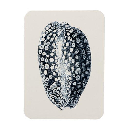 Indigo Seashell Magneet (Verticaal)