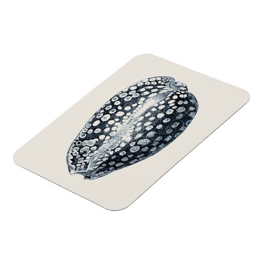 Indigo Seashell Magneet (Linkerzijde)