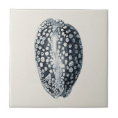 Indigo Seashell Tegeltje (Voorkant)