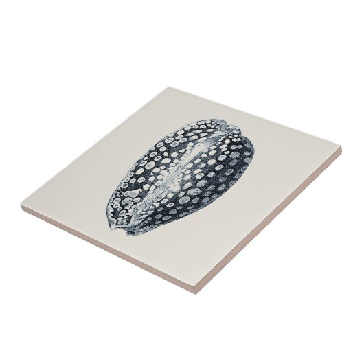 Indigo Seashell Tegeltje (Zijkant)