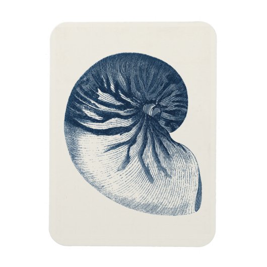Indigo Shark Eye Seashell Magneet (Verticaal)