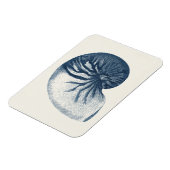 Indigo Shark Eye Seashell Magneet (Linkerzijde)